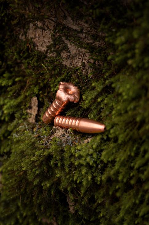 2 x Jagdgeschoss liegend auf Moos